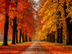 День осеннего равноденствия: чего ждать воронежцам после самого таинственного дня