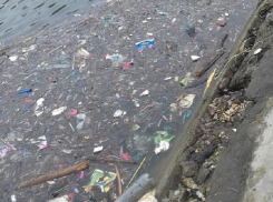 Отдыхающие загадили мусором Лебединое озеро на Левом берегу Воронежа