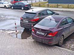 Мерзкий поступок водителя показали в Воронеже