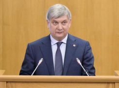 Александр Гусев предложил воронежцам встретить весну чистотой