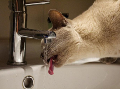 Опубликован список отключения горячей воды в июле в Воронеже