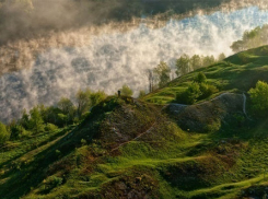 В Год экологии областные экологи установили режимы особой охраны 48 памятников природы областного значения