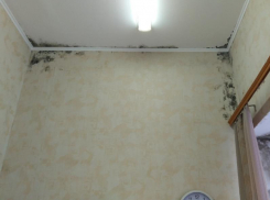 Отвратительную находку в детской поликлинике показали в Воронеже