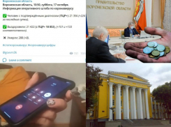 Коронавирус в Воронеже 17 октября: восемь смертей, удар по рынку труда и отложенная дистанционка