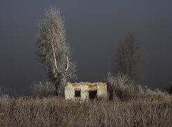 В Воронежской области пропавшего мужчину избили и хотели бросить умирать на Украине