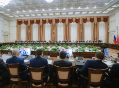 Воронежский губернатор рассказал о причинах сибирской язвы федеральному чиновнику 