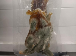 Вид новой жизни на мёртвой рыбе привлек внимание покупательницы в Воронеже 