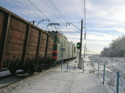 В Воронежской области машинист поезда сбил лошадь