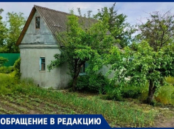 «Мы готовы за провода, столбы заплатить»: воронежцы оказались в ловушке в разгар дачного сезона