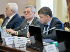 Воронежские власти хотят увеличить турпоток на 10% ежегодно