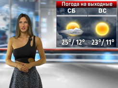 Секреты погоды на выходных раскрыла Вика в Воронеже