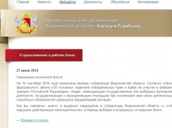 Алексей Гордеев приостановил ведение блога в период выборов губернатора Воронежской области