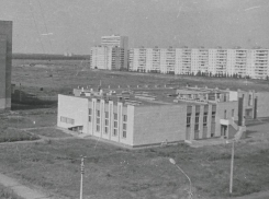 Воронежский институт искусств был образован 54 года назад