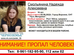 16-летняя девушка пропала в Воронеже