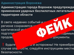 Фейковый аккаунт мэрии Воронежа создали мошенники в Telegram