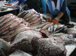 В Воронеже свежезамороженный минтай хранился без ветеринарных документов