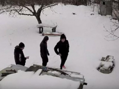 О незваных гостях предупредили воронежцев