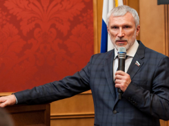 «Чиновники больше имитируют решение проблем, чем реально их решают», – депутат Госдумы из Воронежа раскритиковал бюджеты ПФР и ОМС