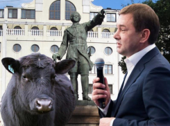 Бренды Петра I и мраморной говядины решил присвоить лидер воронежских единороссов