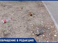 Разлагающиеся голуби и мусор: воронежцы вскрыли спорный альтруизм УК 