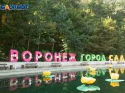 Летательные аппараты и плавучая изба: куда пойдут 15 млн, выделенных на воронежский «Город-Сад»