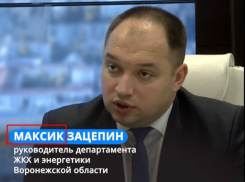 Максик Зацепин: главу департамента ЖКХ переименовали на ласковый лад в Воронеже