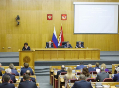 Депутаты одобрили обедневший бюджет Воронежской области, но себя в нем не обидели