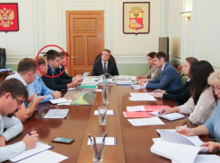 Антиликаторова не заметили: в мэрии Воронежа обсудили реконструкцию перехода у цирка