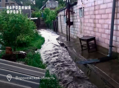 Есть шанс перестать тонуть: ливневке в Воронежской области нашли хозяина