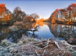 Воронежские спасатели предупредили о первых заморозках в областном центре