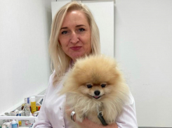 Как уберечь домашнего питомца на даче и за городом