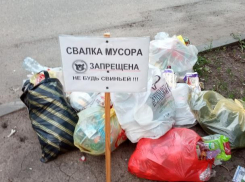 Воронежцев попросили не быть свиньями, но они не смогли