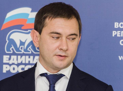 Спикер воронежской облдумы Владимир Нетесов публично не отчитался о доходах за 2016 год