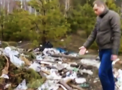 В воронежском лесу уже больше полугода царит мусорный ад