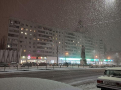 Сильный снегопад накроет Воронежскую область в ближайшие дни