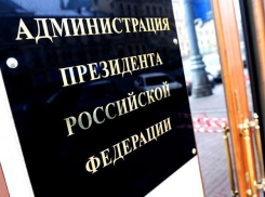 Воронеж показал самый низкий результат Путина среди соседей