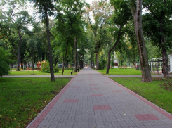 В Воронеже бизнесмены хотят застроить парк имени Дурова 