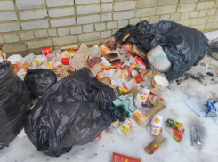 Известная сеть кафе быстрого питания превратила в свалку воронежский двор