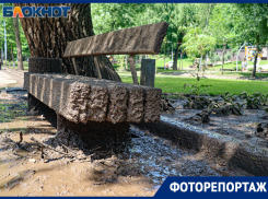 Грязевой коллапс или ничего страшного: как главные парки Воронежа пережили аномальный ливень