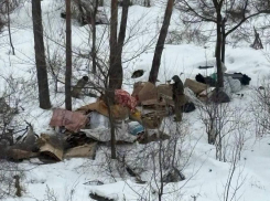 «Каждый день свозит в лес»: воронежцы рассказали о странном «коллекционере»