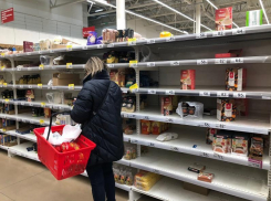 Чиновники успокоили жителей Воронежа, опустошивших полки магазинов