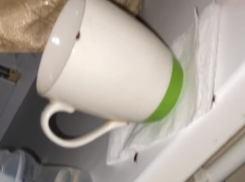 Не забудьте дихлофос: полчище тараканов обнаружили в воронежской больнице