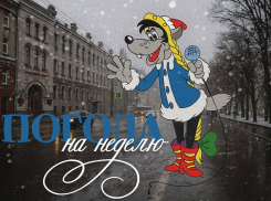 Дождь, снег, гололед: как пережить семь дней воронежской погоды