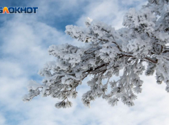 Когда пойдет первый снег в Воронеже, рассказали синоптики