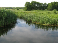 В Воронежской области водолазы из реки достали тело пожилой женщины