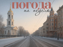 Погода-невидимка: когда ждать первого по-настоящему зимнего дня в Воронеже?