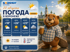 Лишь бы не сгореть: прогноз погоды в Воронеже