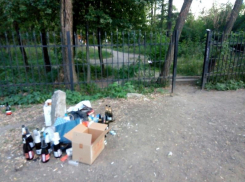 Неприглядную изнанку свадебных традиций увидели в Воронеже