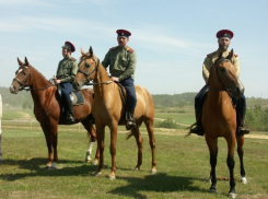В Воронежской области казаков приняли на государственную службу