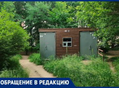 Туалеты-привидения в городских парках довели воронежца до греха 